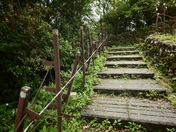 [淡蘭古道] 2026_0524 南路第五段_跑馬古道(上)-猴洞坑溪3070100