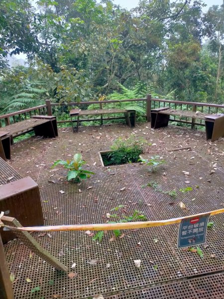石硦林場、桶頭山O形3052329