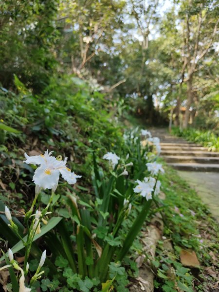 2024.03.17 竹東三山連走2900082