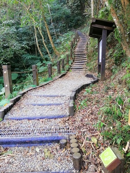 台中~仙氣繩橋山林環繞。 蝙蝠洞登山步道1295477