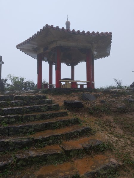 20260327茶壺山3024511