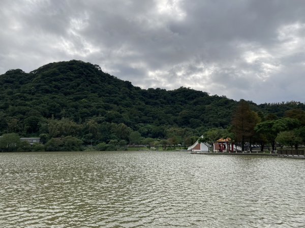 人鳥熱鬧滾滾的大湖公園、聖誕樹色彩繽紛的湖光基督教會【走路趣尋寶】1927532