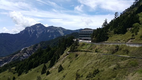 合歡東峰步道 2017 06 06133112