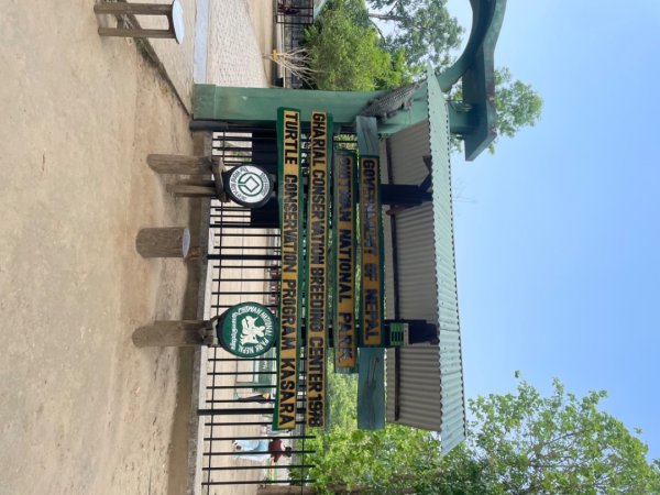 尼泊爾奇旺國家公園4天三夜2788986