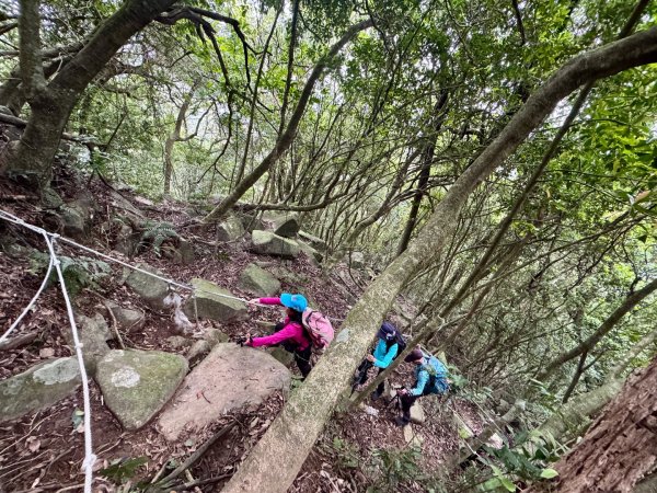 登峰古圳訪高頂山 北五指山 出荷蘭古道 快閃聖人瀑布2981973