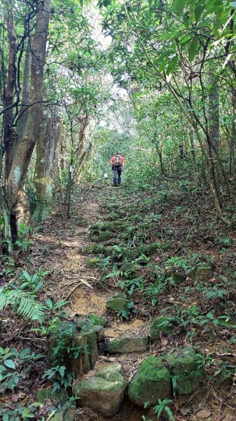 萬里瑪鋉山群峰古道行2763436
