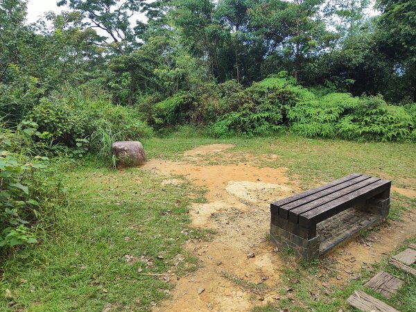 微笑山線：【二格山系】和美山螢火蟲段2834856