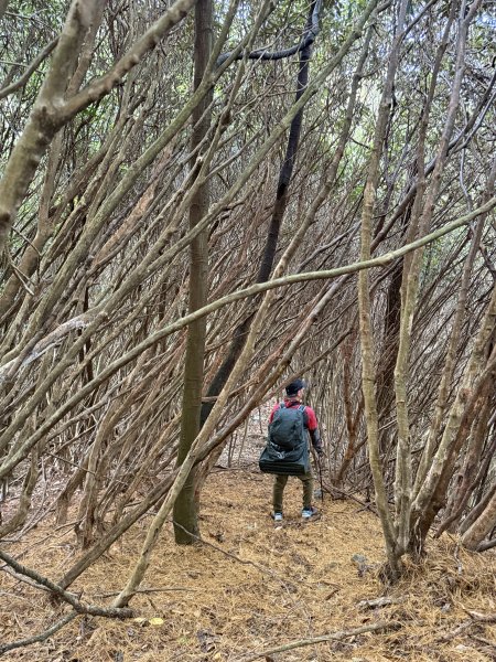 【沒有】【倚天劍】2985265