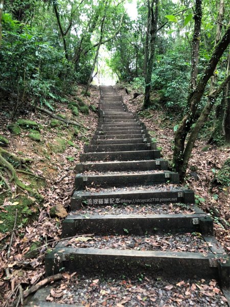 三貂嶺越嶺猴硐步道1035731