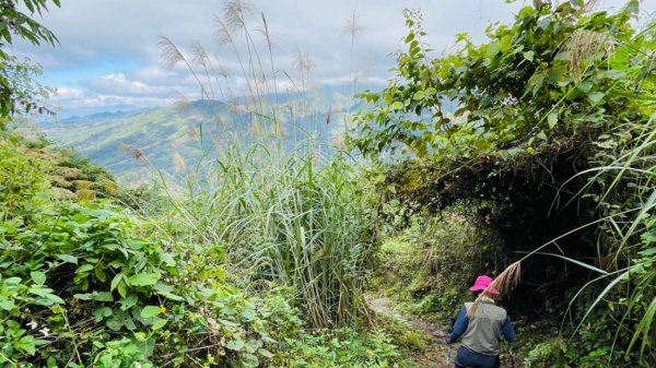 1101119馬那邦山.細道邦山1519545