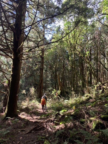 20250517義義兒玉山-東水山2791717