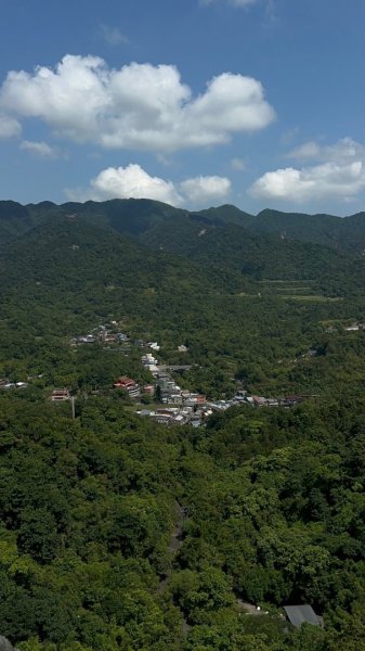 孝子山、普陀山、慈母峰賞鹿子野百合O走2592930