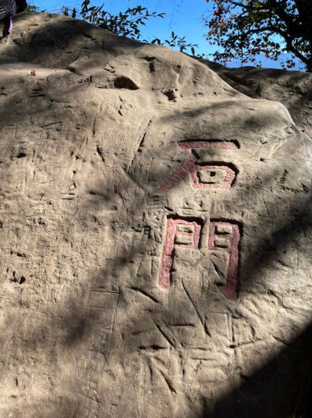 馬那邦山賞楓趣1549558