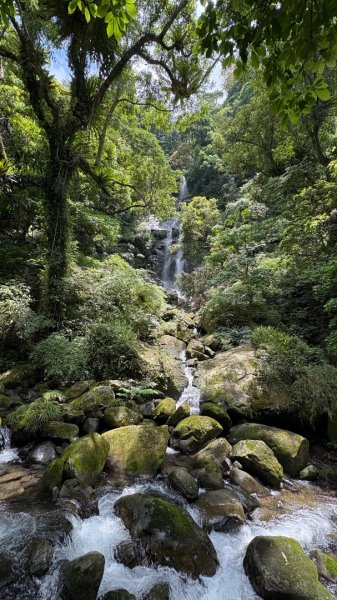 戲水（鴛鴦2786737