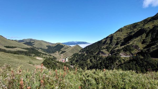 2020/11/11 合歡東峰、石門山1311435