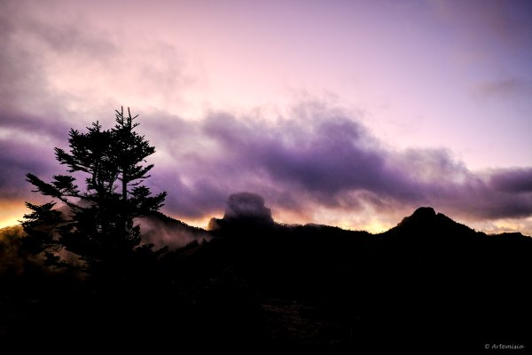 [冬訪大霸聖山岳參行]-榮耀桂冠B'bu' Papak聖稜精選輯2974728