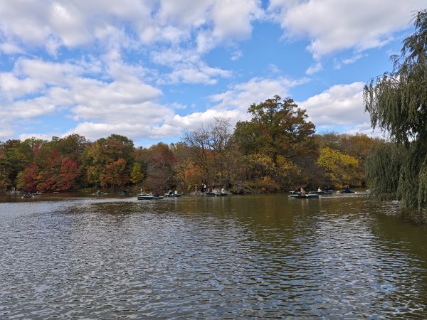 [紐約馬之行-11] 2025_1101 中央公園-畢士大露臺2945083