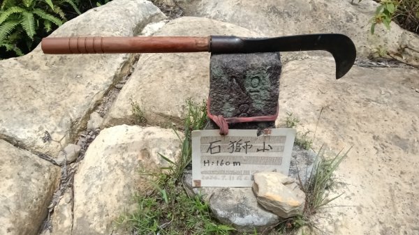 基隆市石象山-石獅山Y字走