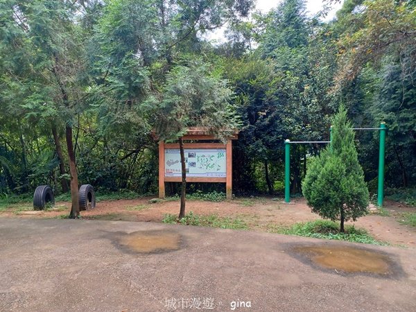 【台中潭子】爬山野餐趣。 新田登山步道x聚興山2899206