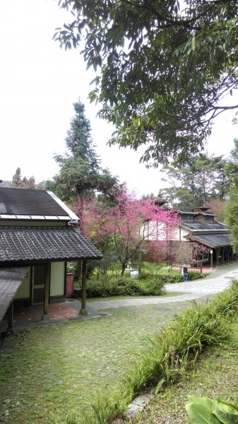 全台最美的森林小學~南投內湖國小468219