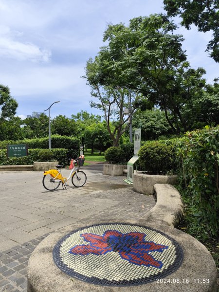 大安森林公園、永康公園、大港墘公園 - 內科嘉年華會 戲曲•特技之夜2577761