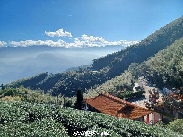 【嘉義梅山】悠閒踏青趣。 雲嘉大尖山、二尖山步道2447261