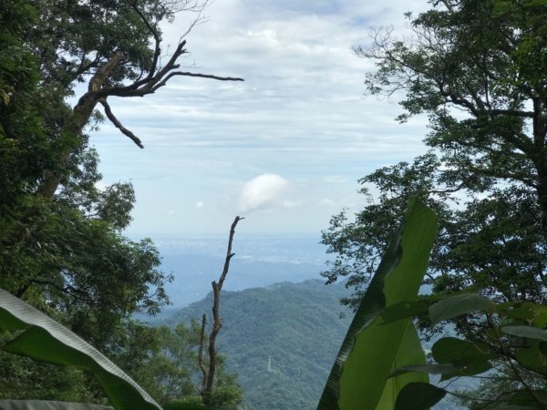 新竹五指山599741