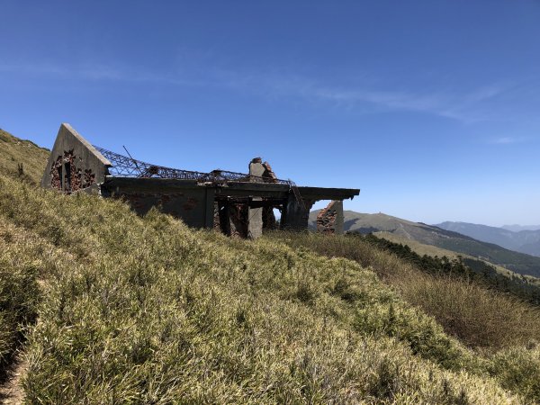 合歡百岳(東峰+石門山)賞杜鵑2131561