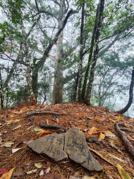 谷關老八阿冷山2699795