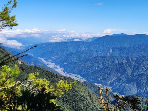 【中級山縱走】羅馬縱走，走進神木的夢幻童話森林世界2943196