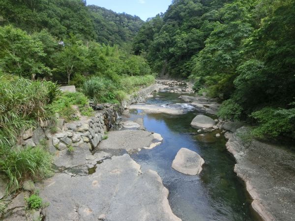 滿月圓森林步道147591