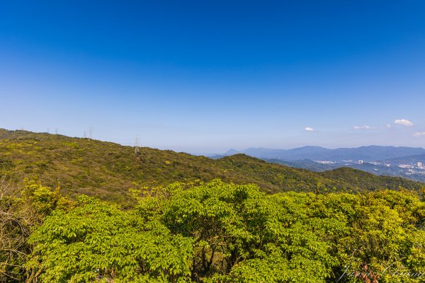 [台北]大崙頭山、碧山巖、忠勇山2746170