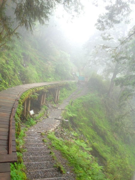 太平山之見晴懷古步道43162