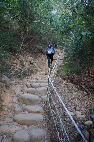 三義焱山，北鞍古道859316