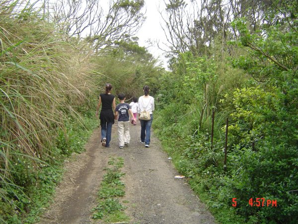 2008 Apr. 天母之下竹林步道584601