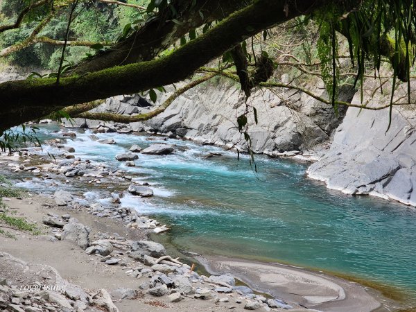 百大步道之內洞國家森林遊樂區2702765