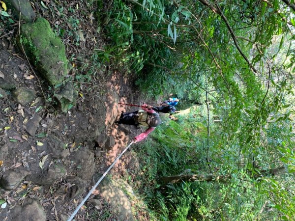 台北大縱走第二段1635002