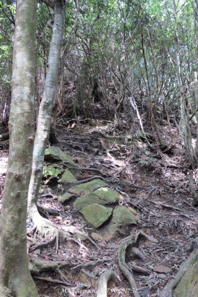 《台中》谷關七雄｜初登屋我尾山201703192890434