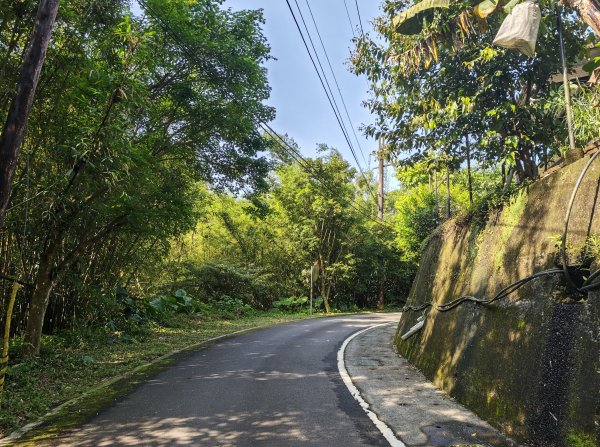 [淡蘭古道] 2026_0502 北路第一段_燦光寮古道3047535