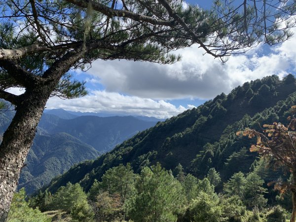 20201鹿林前山，鹿林山，麟趾山環走1206713