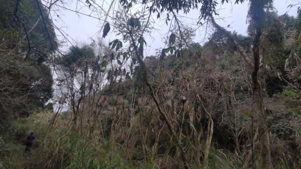 雪見遊戲區盡尾山二本松山2702669
