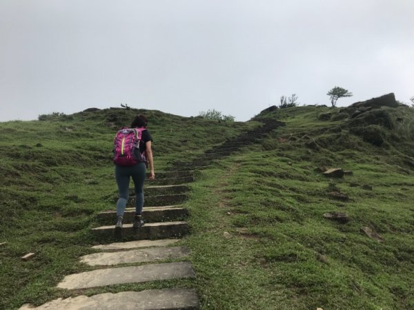 草嶺古道、桃源谷步道2124461