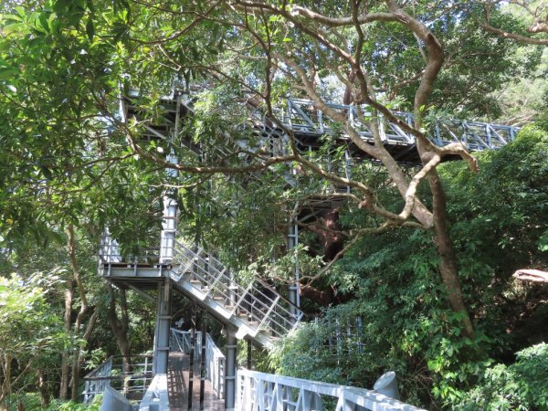 八里觀音山O形(順遊八里文化公園‧八里渡船頭老街)2062104