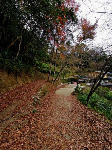 馬胎古道、馬胎二期古道、南坪古道2986017