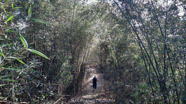 《南投》古道巡禮｜八通關古道社寮線蜈蚣崙段202511152937045