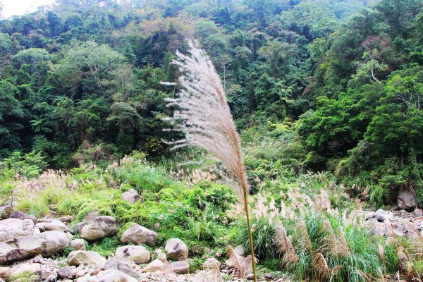 南庄 景點多 ~ 走吧 ! 登山健行休閒旅遊 ...223392