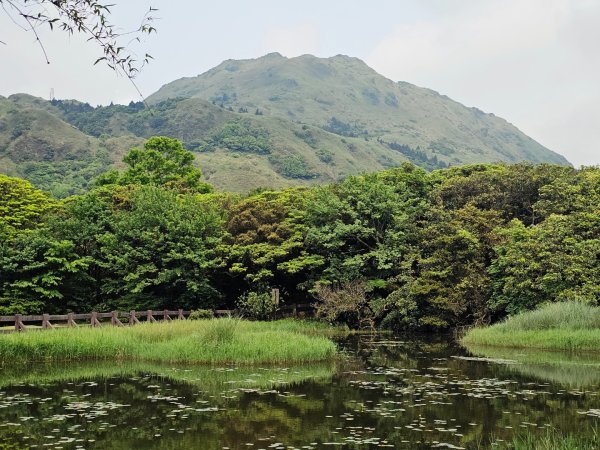 2026年臺北大縱走第三段：小油坑至風櫃口3037881