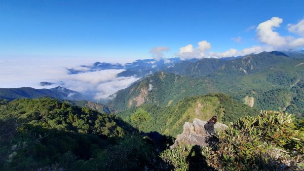 《台中》鳶嘴雲瀑｜鳶嘴山登山步道O繞202212041938532