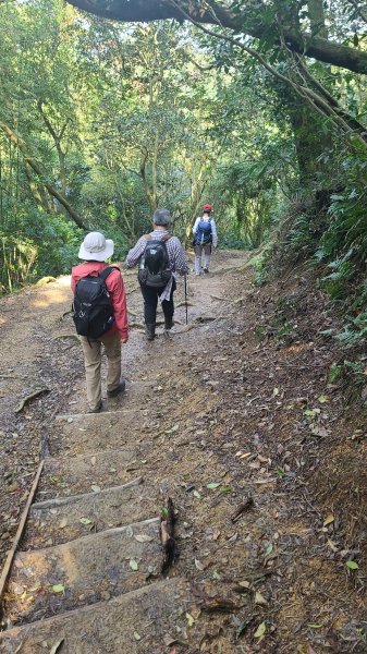 2025-0204 鶯歌_大凍山_三角埔頂山_迴龍2707909