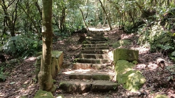 基隆市海興森林步道-情人塔-老鷹岩-情人湖登山步道O型3092723